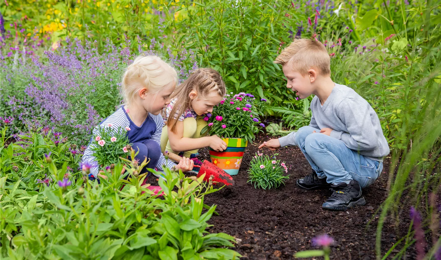 Children in the garden