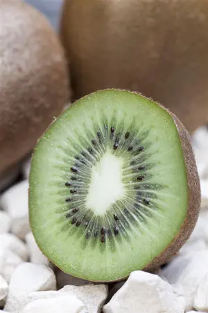 Actinidia chin. 'Minki Mae' - 80-100 CM C2 - image 1