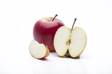 Malus dom. 'Elstar' - 80-100 CM C2 WHIP - image 3